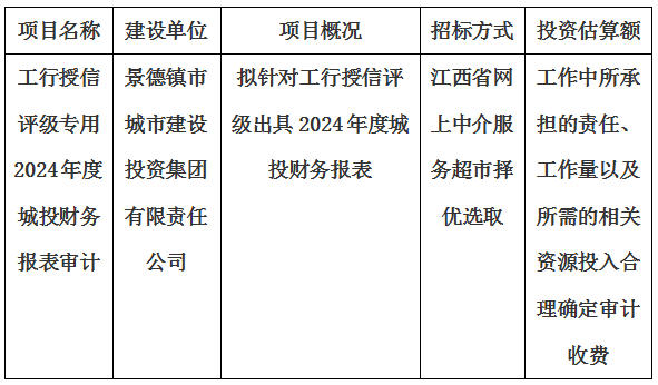 工行授信評級專用2024年度城投財務報表審計報告出具單位選取計劃公告